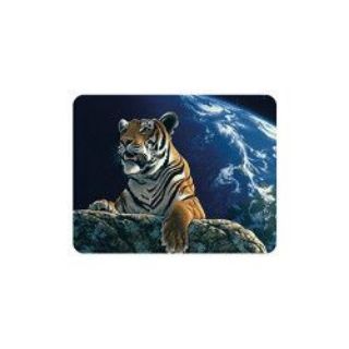 Obrázek z Magnet 3D 7x9cm - tygr hnědý (25) 